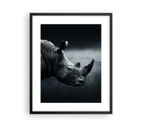 Cuadro Poster de Pared 40x50cm Marco Rinoceronte Blanco Y Negro Retrato Wall Art