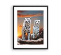 Cuadro Poster de Pared 40x50cm Marco Tigres blanco roca puesta del sol Wall Art