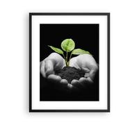Cuadro Poster de Pared 40x50cm Naturaleza planta ciencia protección Wall Art