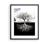 Cuadro Poster de Pared 40x50cm Póster Marco Árbol Las Raíces Reflexión Wall Art