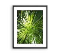 Cuadro Poster de Pared 40x50cm Póster Marco Bambú Selva Verde Wall Art Prints