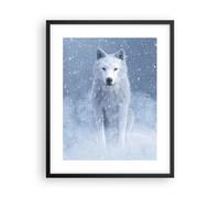 Cuadro Poster de Pared 40x50cm Póster Marco Blanco lobo nieve Wall Art Prints