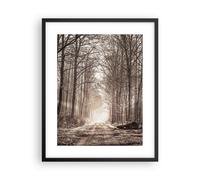 Cuadro Poster de Pared 40x50cm Póster Marco bosque camino arbol Wall Art Prints