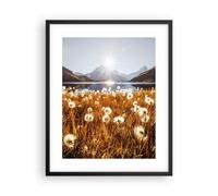 Cuadro Poster de Pared 40x50cm Póster Marco Dientes De León Sol Campo Wall Art