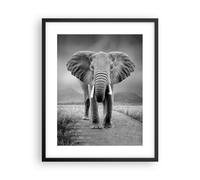 Cuadro Poster de Pared 40x50cm Póster Marco Elefante Salvaje Naturaleza Wall Art