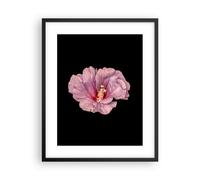 Cuadro Poster de Pared 40x50cm Póster Marco Hibisco Flor Rosa Wall Art Prints
