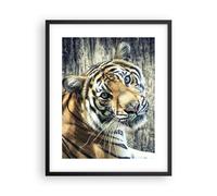 Cuadro Poster de Pared 40x50cm Póster Marco India piedra tigre salvaje Wall Art