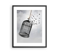 Cuadro Poster de Pared 40x50cm Póster Marco Libertad Jaula Aves Wall Art Prints