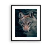 Cuadro Poster de Pared 40x50cm Póster Marco lobo bosque depredador Wall Art
