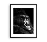 Cuadro Poster de Pared 40x50cm Póster Marco Mono Gorila Retrato Wall Art Prints