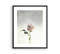 Cuadro Poster de Pared 40x50cm Póster Marco rosa pájaros cielo Wall Art Prints