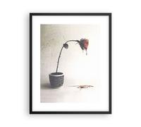 Cuadro Poster de Pared 40x50cm Póster Marco Símbolo Rosa Sufrimiento Wall Art