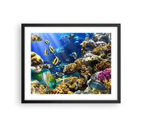 Cuadro Poster de Pared 50x40cm Arrecife de coral océano cangrejo pescado Art
