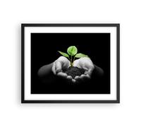Cuadro Poster de Pared 50x40cm Marco Naturaleza planta ciencia protección Art