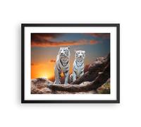Cuadro Poster de Pared 50x40cm Marco Tigres blanco roca puesta del sol Art