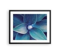 Cuadro Poster de Pared 50x40cm Póster Marco Agave Azul Flor Wall Art Prints