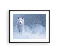 Cuadro Poster de Pared 50x40cm Póster Marco Blanco lobo nieve Wall Art Prints