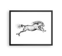 Cuadro Poster de Pared 50x40cm Póster Marco Caballo Dibujo Lápiz Wall Art Prints