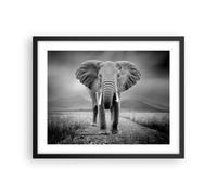 Cuadro Poster de Pared 50x40cm Póster Marco Elefante Salvaje Naturaleza Wall Art