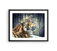 Cuadro Poster de Pared 50x40cm Póster Marco India piedra tigre salvaje Wall Art