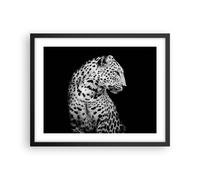 Cuadro Poster de Pared 50x40cm Póster Marco leopardo pantera gato Wall Art