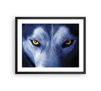 Cuadro Poster de Pared 50x40cm Póster Marco Mira El Lobo Ojos Wall Art Prints