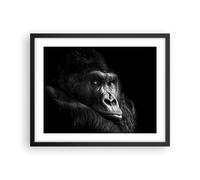 Cuadro Poster de Pared 50x40cm Póster Marco Mono Gorila Retrato Wall Art Prints