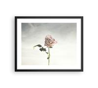 Cuadro Poster de Pared 50x40cm Póster Marco rosa pájaros cielo Wall Art Prints