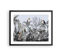 Cuadro Poster de Pared 50x40cm Póster Marco Selva Animales Tucanes Wall Art