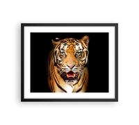Cuadro Poster de Pared 50x40cm Póster Marco tigre animal Wall Art Prints Decor