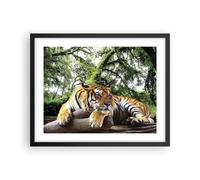 Cuadro Poster de Pared 50x40cm Póster Marco Tigre Selva Descanso Wall Art Prints