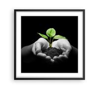 Cuadro Poster de Pared 50x50cm Marco Naturaleza planta ciencia protección Art