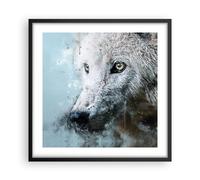 Cuadro Poster de Pared 50x50cm Póster Marco Blanco El Lobo Imagen Wall Art