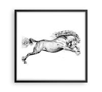 Cuadro Poster de Pared 50x50cm Póster Marco Caballo Dibujo Lápiz Wall Art Prints
