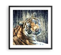 Cuadro Poster de Pared 50x50cm Póster Marco India piedra tigre salvaje Wall Art