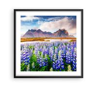Cuadro Poster de Pared 50x50cm Póster Marco montañas prado flores Wall Art
