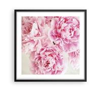 Cuadro Poster de Pared 50x50cm Póster Marco Paeonia Un ramo Flores Wall Art