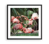 Cuadro Poster de Pared 50x50cm Póster Marco Palmeras Manada Flamencos Wall Art