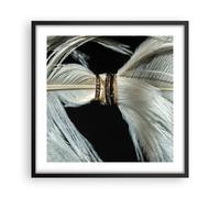 Cuadro Poster de Pared 50x50cm Póster Marco Pluma Romántico Matrimonio Wall Art