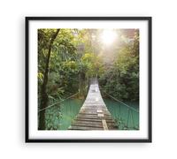 Cuadro Poster de Pared 50x50cm Póster Marco Puente Cuerda Selva Wall Art Prints