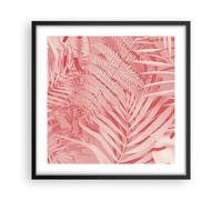 Cuadro Poster de Pared 50x50cm Póster Marco Rosa Hojas Palmeras Wall Art Prints