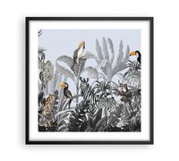 Cuadro Poster de Pared 50x50cm Póster Marco Selva Animales Tucanes Wall Art
