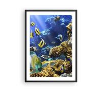 Cuadro Poster de Pared 50x70cm Arrecife de coral océano cangrejo pescado Art
