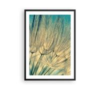Cuadro Poster de Pared 50x70cm Diente De León Macro Diente De León Wall Art