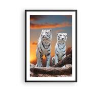 Cuadro Poster de Pared 50x70cm Marco Tigres blanco roca puesta del sol Wall Art