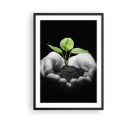 Cuadro Poster de Pared 50x70cm Naturaleza planta ciencia protección Wall Art