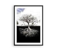 Cuadro Poster de Pared 50x70cm Póster Marco Árbol Las Raíces Reflexión Wall Art