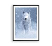 Cuadro Poster de Pared 50x70cm Póster Marco Blanco lobo nieve Wall Art Prints