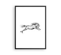 Cuadro Poster de Pared 50x70cm Póster Marco Caballo Dibujo Lápiz Wall Art Prints