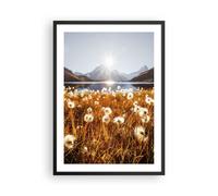 Cuadro Poster de Pared 50x70cm Póster Marco Dientes De León Sol Campo Wall Art
